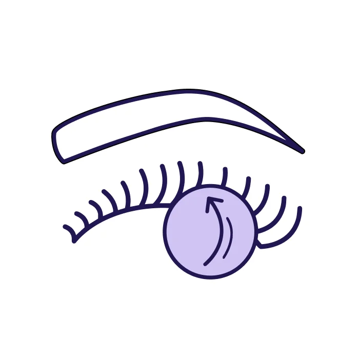 Lash Lift
