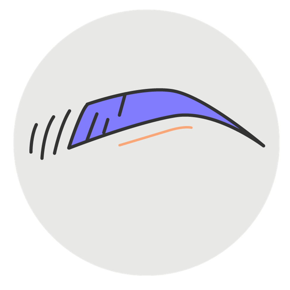 Brow Lamination
